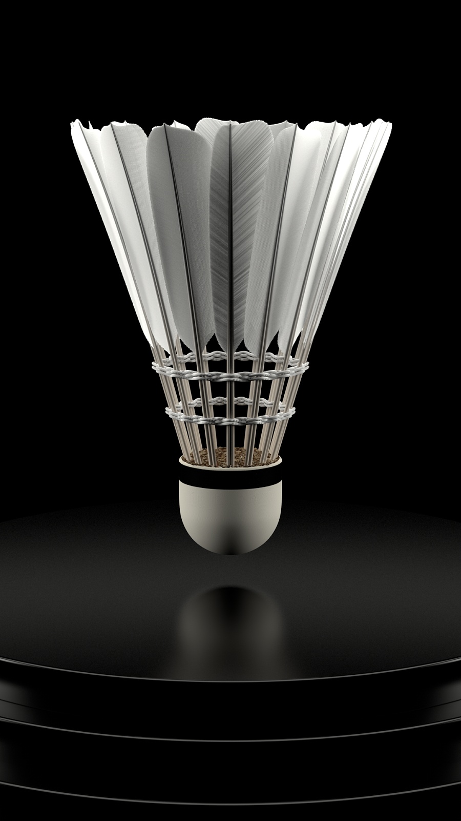 沣的惊艳表 沣的惊艳表