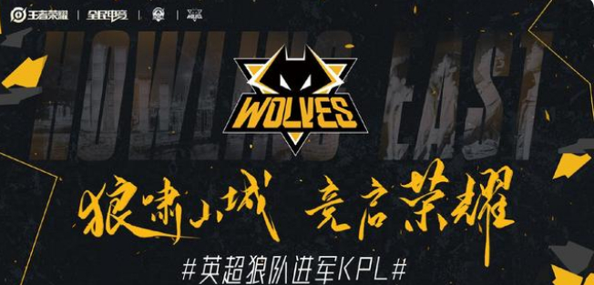 将维拉带入
